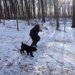 20120122_P1000799 (Walk In The Forest)