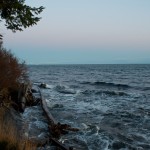 20120126_DSC_1048 – Version 2 (Touring Saturna Island)