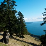 20120126_DSC_1068 – Version 2 (Touring Saturna Island)