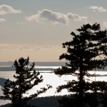 20120126_DSC_1071 – Version 2 (Touring Saturna Island)