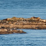 20120126_DSC_1085 – Version 2 (Touring Saturna Island)