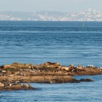 20120126_DSC_1086 – Version 2 (Touring Saturna Island)