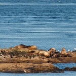 20120126_DSC_1087 – Version 2 (Touring Saturna Island)
