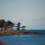 20120126_DSC_1095 – Version 2 (Touring Saturna Island)