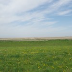 20120517_D7K_1663 (Regina, SK)