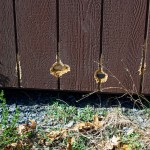 20120327_D7K_1380 (Down at Penn State)