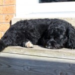 20120407_D7K_1449 (Easter Weekend)