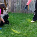 20120409_D7K_1461 (Gardening)