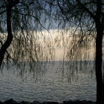 20120414_D7K_1475 (Rattray Marsh Clean-up)