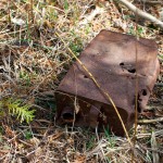 20120416_D7K_1528 (Kinghurst)