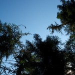 20120710_D7K_2310 (Saskatchewan Tour)