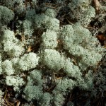 20120711_D7K_2338 (Saskatchewan Tour)