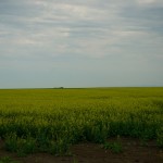 20120714_D7K_2454 (Saskatchewan Tour)
