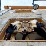 20120807_D7K_2592 (Day 2: Quebec By Foot)