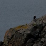 20120810_D7K_2793 – Version 2 (Day 5: The Cabot Trail)