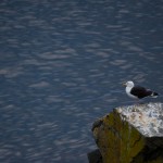 20120810_D7K_2805 – Version 2 (Day 5: The Cabot Trail)