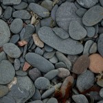 20120810_D7K_2903 – Version 2 (Day 5: The Cabot Trail)