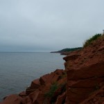 20120812_D7K_2937 (Day 7: Beachcombing)