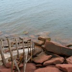 20120812_D7K_2938 (Day 7: Beachcombing)