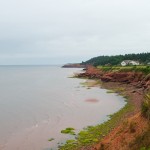 20120812_D7K_2952 (Day 7: Beachcombing)