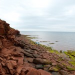 20120812_D7K_2956 (Day 7: Beachcombing)