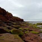 20120812_D7K_2962 (Day 7: Beachcombing)