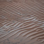 20120812_D7K_2972 (Day 7: Beachcombing)