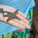 20120812_D7K_2980 (Day 7: Beachcombing)