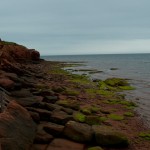 20120812_D7K_2992 (Day 7: Beachcombing)