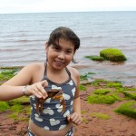 20120812_D7K_2995 (Day 7: Beachcombing)