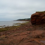 20120812_D7K_3004 (Day 7: Beachcombing)