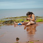 20120812_D7K_3008 (Day 7: Beachcombing)