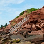 20120812_D7K_3014 (Day 7: Beachcombing)