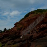 20120812_D7K_3017 (Day 7: Beachcombing)