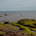 20120812_D7K_3018 (Day 7: Beachcombing)
