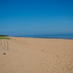 20120814_D7K_3163 (Day 9: North Shore and Lobster Supper)