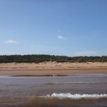 20120814_P1020031 (Day 9: North Shore and Lobster Supper)