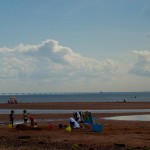 20120815_D7K_3264 (Day 10: South Shore)