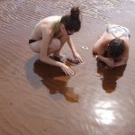 20120815_P1020073 (Day 10: South Shore)