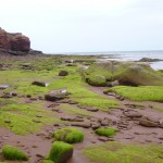 20120816_P1020082 (Day 11: Relaxing Day)