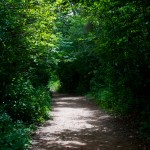 20120817_D7K_3387 (Day 12: Green Gables and More Lobster)