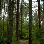 20120817_D7K_3397 (Day 12: Green Gables and More Lobster)