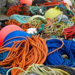 20120819_D7K_3636 (Day 14: Lighthouse Route)