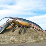20120820_D7K_3739 (Day 15: Halifax and Giant Lobster)