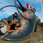 20120820_D7K_3747 (Day 15: Halifax and Giant Lobster)