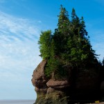 20120821_D7K_3779 (Day 16: Fundy Coastal Drive)