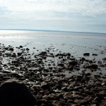 20120821_D7K_3788 (Day 16: Fundy Coastal Drive)