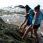20120821_D7K_3797 (Day 16: Fundy Coastal Drive)