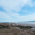 20120821_D7K_3818 (Day 16: Fundy Coastal Drive)