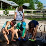 20120821_D7K_3842 (Day 16: Fundy Coastal Drive)
